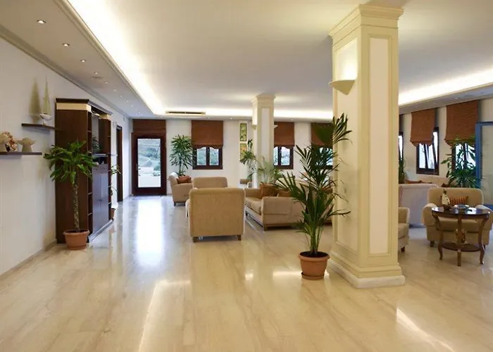 益阳纳吉酒店 4* 奥诺斯